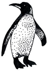 pinguin pinguin